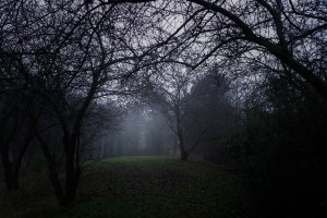 燃情！女足世界杯赛程公布，这份名单你最期待谁的表现