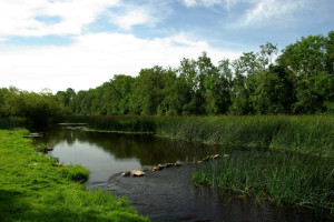 战术大师的博弈,ESL积分榜的排兵布阵!