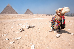 意外之喜！那些被低估的2026世界杯主教练候选人